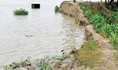 মির্জাগঞ্জের বিভিন্ন পয়েন্টের বেড়িবাঁধ নিয়ে দুশ্চিন্তায় স্থানীয় বাসিন্দারা