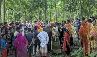 নড়াইলে পুকুর থেকে ভাসমান অবস্থায় মরদেহ উদ্ধার করেছে পুলিশ
