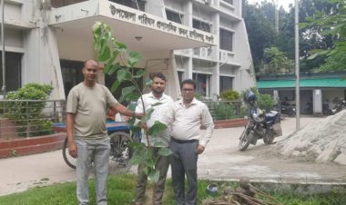 নওগাঁর রক্তদহ বিলে 