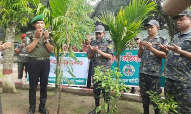 লালমনিরহাট আনসার ও গ্রাম প্রতিরক্ষা বাহিনীর বৃক্ষরোপণ কর্মসূচি উদ্বোধন