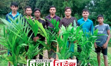 যুবশক্তির হাতেই সবুজ, সোহাদিয়া গ্রামের তরুণদের বৃক্ষরোপণ অভিযান