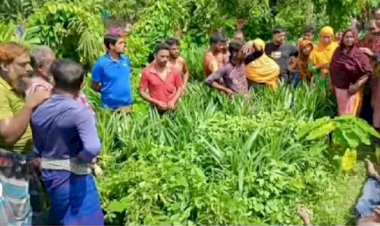 কেশবপুরের গৌরিঘোনা ইউনিয়ন থেকে  ভ্যানচালক এক যুবকের মরদেহ উদ্ধার