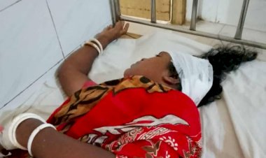 নওগাঁর মহাদেবপুরে জমিজমা বিরোধের জের শ্রীমতি ছবিতা রানীকে মারধর, থানায় অভিযোগ