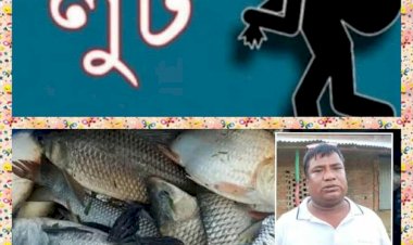 নওগাঁর নিয়ামতপুরে সরকারি খাস-পুকুর থেকে মাছ লুটের অভিযোগ বিএনপি নেতার মোশারফের বিরুদ্ধে