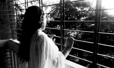 একজন আনন্দময়ী ক্ষমতাধর নারীর প্রস্তাবে (দ্বিতীয় পর্ব)