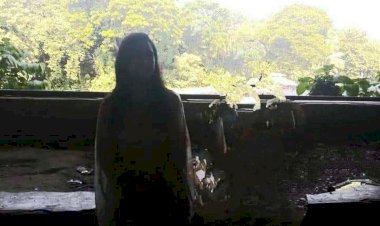 একজন আনন্দময়ী ক্ষমতাধর নারীর প্রস্তাবে (প্রথম পর্ব)