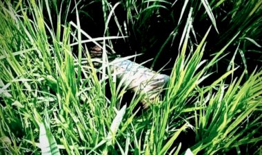 আজ পীরগাছায় চার দিন পর মিলল কিশোরের লাশ, এলাকায় শোক আর আতঙ্কের ছায়া