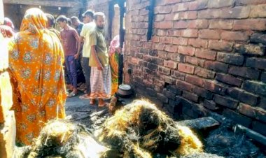 নওগাঁর মান্দা হলুদঘর রাস্তার পাশ থেকে পাখি নামে এক নারীর মৃতদেহ উদ্ধার