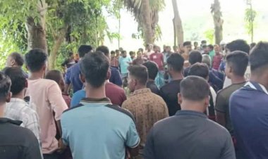 নড়াইলে ইজিবাইক চালককে গলা ও পুরুষাঙ্গ কেটে হত্যা