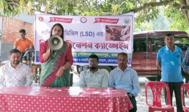 রাজশাহী কেশরহাটে ল্যাম্পি স্কিন ডিজিসের ফ্রী ভ্যাকসিন ক্যাম্প উদ্বোধন
