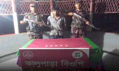 নওগাঁর ধামইরহাট সীমান্তে ৫০ পিচ ট্যাপেন্টাডল ট্যাবলেটসহ রেজুয়ান নামে এক জন চোরাকারবারী  আটক