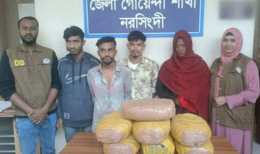 নরসিংদীর শিবপুরে ১৪ কেজি গাজা সহ ৪জন মাদক ব্যবসায়ী  আটক