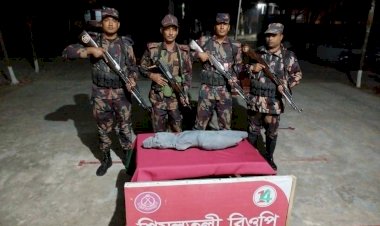 নওগাঁর ধামইরহাটে ১৫ কোটি টাকা মুল্যের দুষ্প্রাপ্য কষ্টি পাথরের মূর্তি উদ্ধার