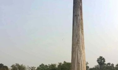 নওগাঁয় অবৈধ ইটভাটায় পুড়ছে খড়ি; গিলে খাচ্ছে জমি