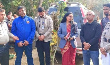 নড়াইলের কালিয়ায় গাঁজার গাছসহ দুইজন গ্রেপ্তার ভ্রাম্যমাণ আদালতে জেল  জরিমানা