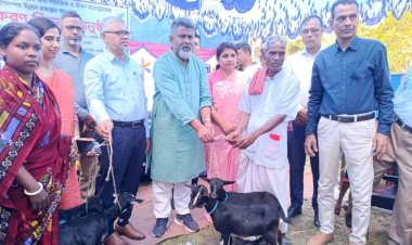 বদলগাছীতে ক্ষুদ্র নৃগোষ্ঠী পরিবারের মাঝে ১০০ টি ছাগল ও ম্যাট বিতরণ