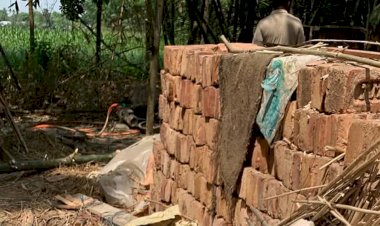 বালিয়াকান্দিতে পেঁয়াজ সংরক্ষণের ঘর ভেঙে পড়ে কিশোরীর মর্মান্তিক মৃত্যু