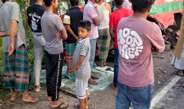 ঠাকুরগাঁওয়ে সড়ক দুর্ঘটনায় ১ জন নিহত, আহত ৩