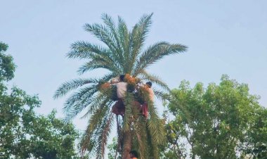 নড়াইলে হিন্দু সম্প্রদায়ের  শিবের আশীর্বাদ কামনায় ঐতিহ্যবাহী খেজুর সন্ন্যাসী  অনুষ্ঠিত