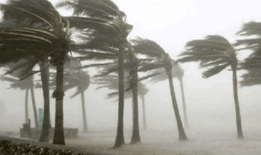 হঠাৎ ঝড়ে ব্যপক ক্ষয়ক্ষতি