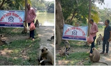 ক্ষুধার্ত হনুমানের মুখে খাবার তুলে দিলেন  শাপলা সমাজ কল্যাণ সংস্থার নেতৃবৃন্দ