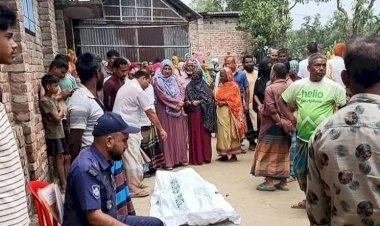 চিরিরবন্দরে জমি নিয়ে বিরোধের জেরে বাবা-ছেলেকে পিটিয়ে হত্যা!