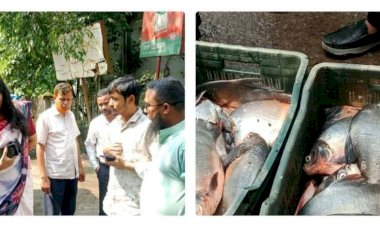 বৈষম্যহীন ও দুর্নীতিমুক্ত বাংলাদেশ গঠনে তরুণদের ঐক্যবদ্ধ হওয়ার আহ্বান হাসনাত আব্দুল্লাহর