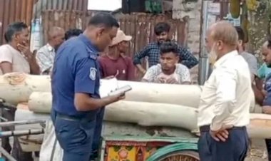 সাঘাটায় সরকারি গাছ কাটার অভিযোগে থানায় এজাহার, অভিযুক্ত দুই ব্যক্তি