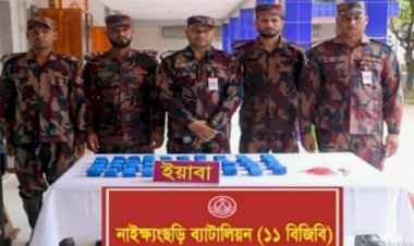 কচ্ছপিয়ার ৪০ হাজার ইয়াবা কাণ্ডে বিজিবি ধরলো ইয়াবা, পুলিশ ধরল আসামী !