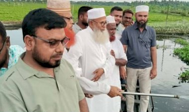 কেশবপুরে কচুরিপানা নিধনে অর্থ সহায়তা  দিলেন এমপি অধ্যাপক মোক্তার আলী