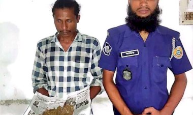 মির্জাগঞ্জের কালিকাপুর বেরিবাদ  থেকে ৫০ গ্রাম গাঁজাসহ গ্রেফতার এক