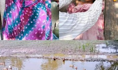 পীরগাছায় ডোবায় ডুবে দুই শিশুর মৃত্যু