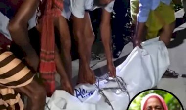 হোমনায় নিখোঁজের একদিন পর নারীর লাশ উদ্ধার