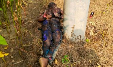 রাজবাড়ীর কালুখালীতে নিখোঁজ যুবকের মরদেহ উদ্ধার, পুড়িয়ে ফেলার চেষ্টা