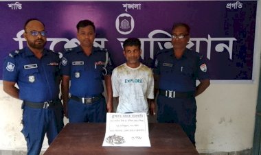 পীরগাছায় মধ্যরাতের অভিযানে শীর্ষ মাদক কারবারি গ্রেপ্তার, ইয়াবা-গাঁজা উদ্ধার