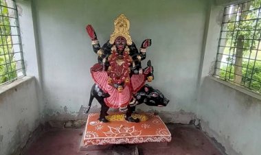 নওগাঁর মহাদেবপুরে বাগধানা ও খোদ্দনারায়নপুরে ঐতিহ্যবাহী শ্রীশ্রী শিবকালি ও শুরকালির ৪ দিন দিনব্যাপী বারোয়ারী পূঁজা অনুষ্ঠিত