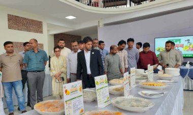 পাবিপ্রবিতে ফল উৎসব অনুষ্ঠিত
