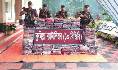 কুমিল্লা সীমান্তে ৩৩ লাখ টাকার ভারতীয় শাড়ি জব্দ, বিজিবির অভিযান