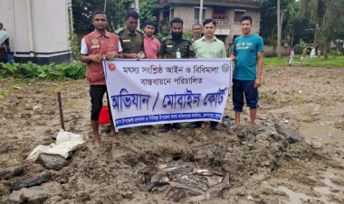 কেশবপুরে নিষিদ্ধ আফ্রিকান মাগুর মাছ  চাষ করার অপরাধে এক ব্যক্তির জরিমানা