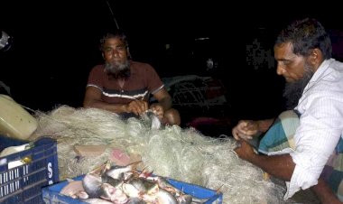 জেলের জালে ধরা পরলো একসাথে প্রায় দুই মন পাঙ্গাস মাছ