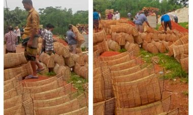 বর্ষা মৌসুমে জমে উঠেছে বুড়িচংয়ে  চাই-দুয়ারি হাট