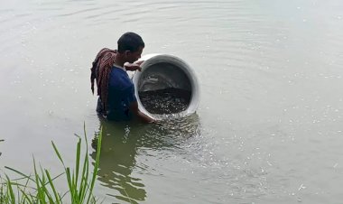 বালিয়াকান্দিতে মিশ্র মৎস্য চাষে ঝুঁকেছেন কৃষক নিজামুদ্দিন