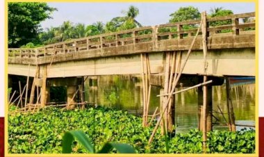কুমিল্লা দাউদকান্দিতে—৩০ বছরের পুরোনো সেতুতে ফাটল, বাঁশের খুঁটিতে ঠেকিয়ে রক্ষা! অবর্ণনীয় দুর্ভোগে ২০ হাজার মানুষ