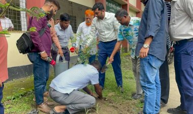 গাজীপুরে জেলা রিপোর্টার্স ফোরামের ৫ শতাধিক বৃক্ষরোপণ কর্মসূচির উদ্বোধন