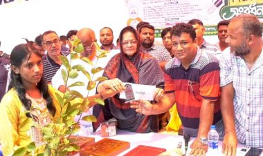 সিরাজগঞ্জে শিক্ষার্থীদের মাঝে গাছের চারা ও বৃত্তি বিতরণ