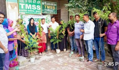 খুলনায় টিএমএসএস'র উদ্যোগে সদস্যদের মধ্যে বৃক্ষের চারা বিতরণ