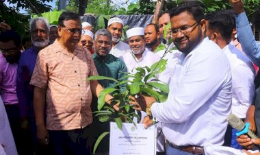পরিবেশের ভারসাম্য রক্ষায় ঢাকার বুড়িগঙ্গার  নদী তীরে বৃক্ষ বৃদ্ধি ও সবুজ নগর গঠন কর্মসূচী পালিত