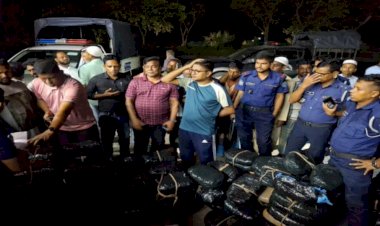 কুমিল্লার দাউদকান্দিতে ২৫১ কেজি গাঁজাসহ বিপুল পরিমাণ ভারতীয় মাদক উদ্ধার