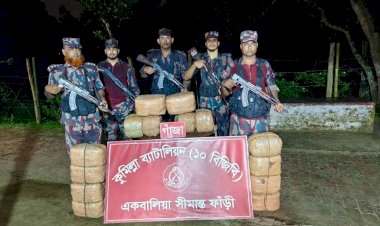 কুমিল্লার সীমান্তে বিজিবির সাঁড়াশি অভিযান: ১২৪ কেজি গাঁজা ও ইয়াবাসহ আটক ১