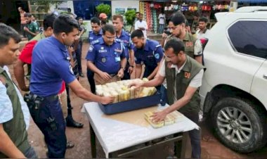 ১৫ কোটি টাকার ইয়াবা চালান আর লবণের বস্তার আড়ালে কুমিল্লার মাদকের সাম্রাজ্য: বাহক জালে, গডফাদাররা ধরাছোঁয়ার বাইরে কেন?